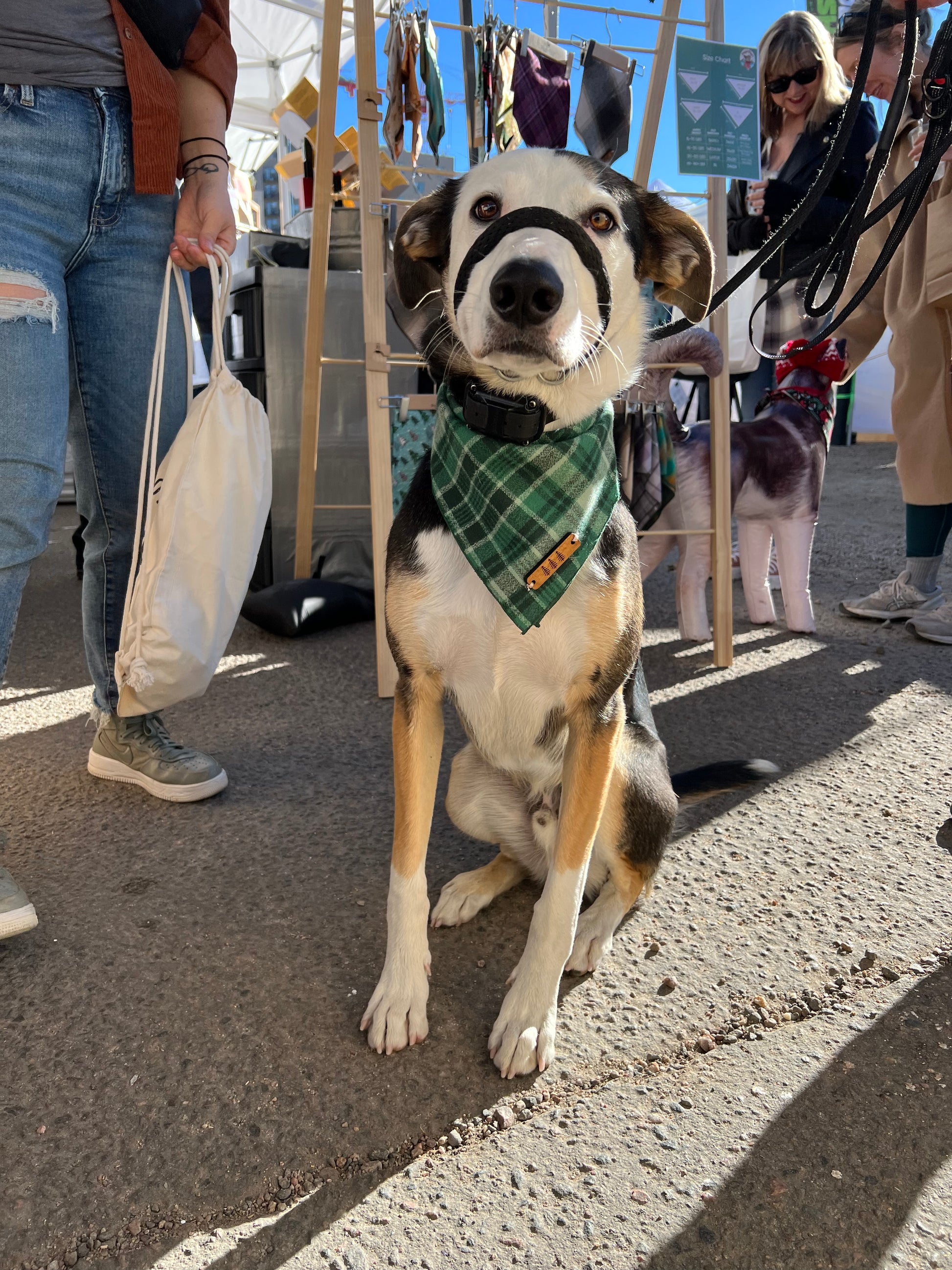 a statue of a dog with a hat on