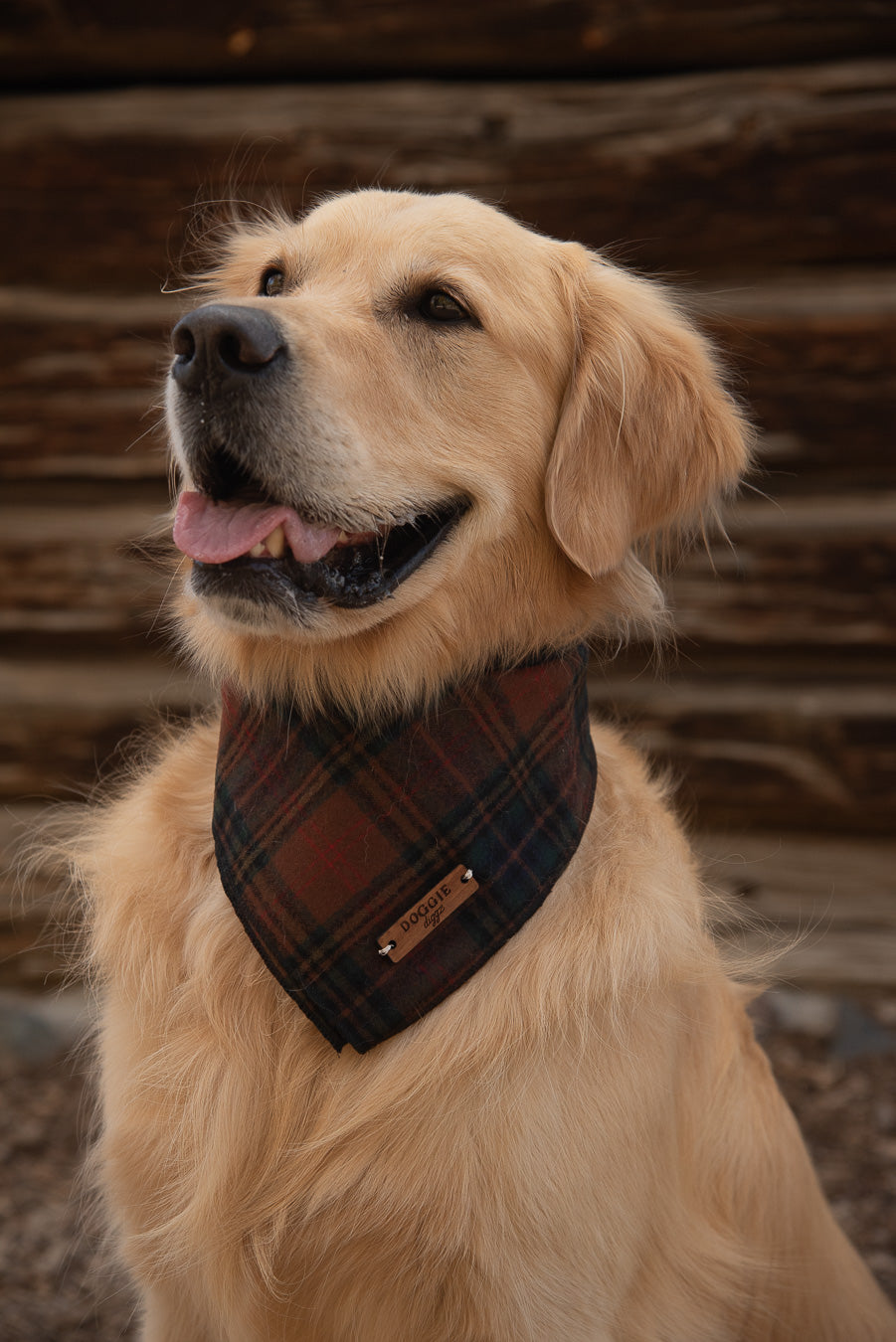 Timber Trails Wool Bandana