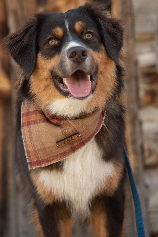 Caramel Plaid Flannel