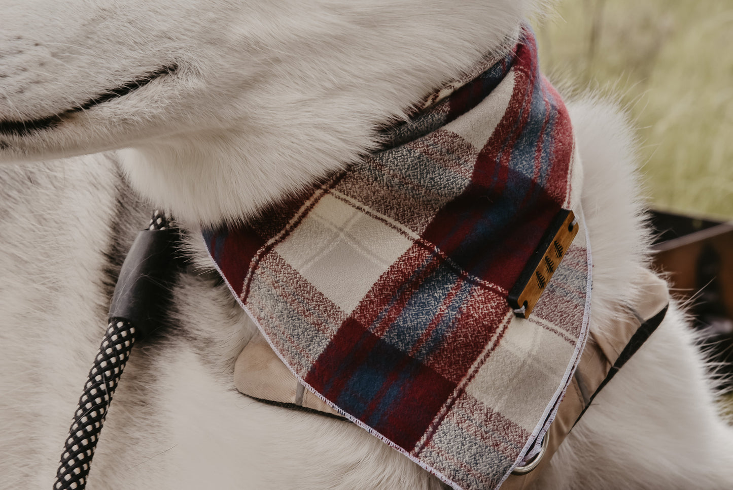 Burgundy plaid flannel dog bandana