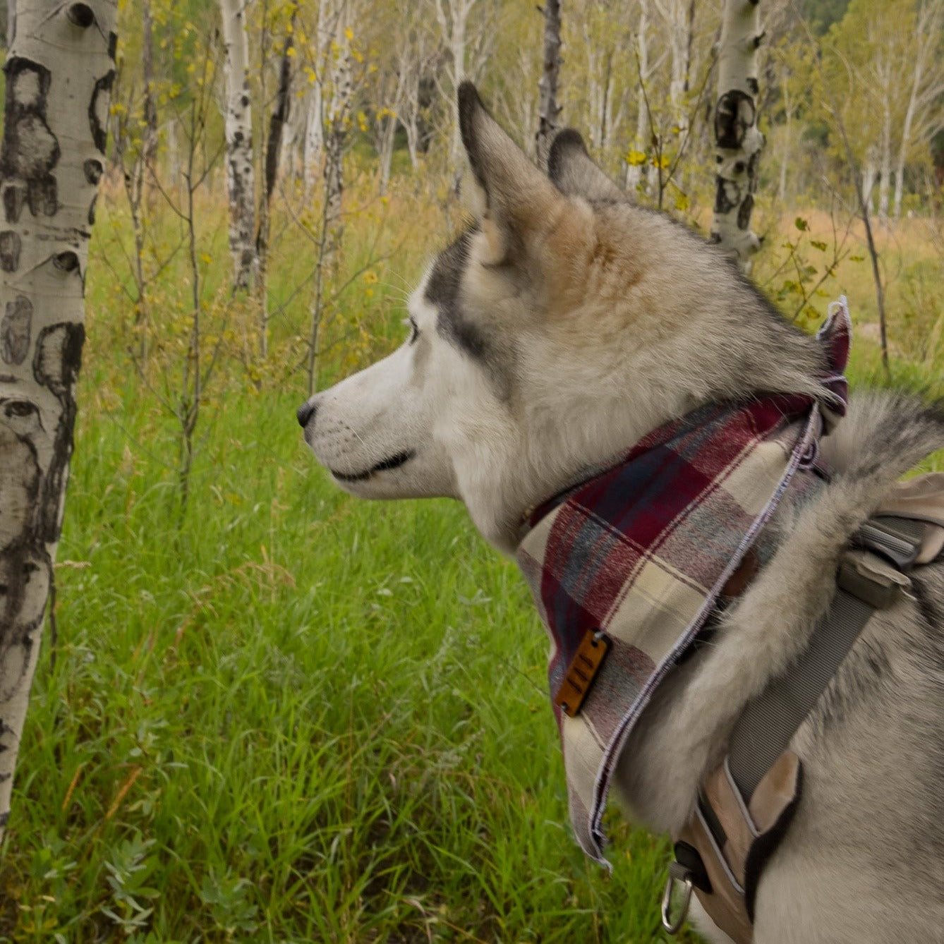 Burgundy plaid flannel dog bandana