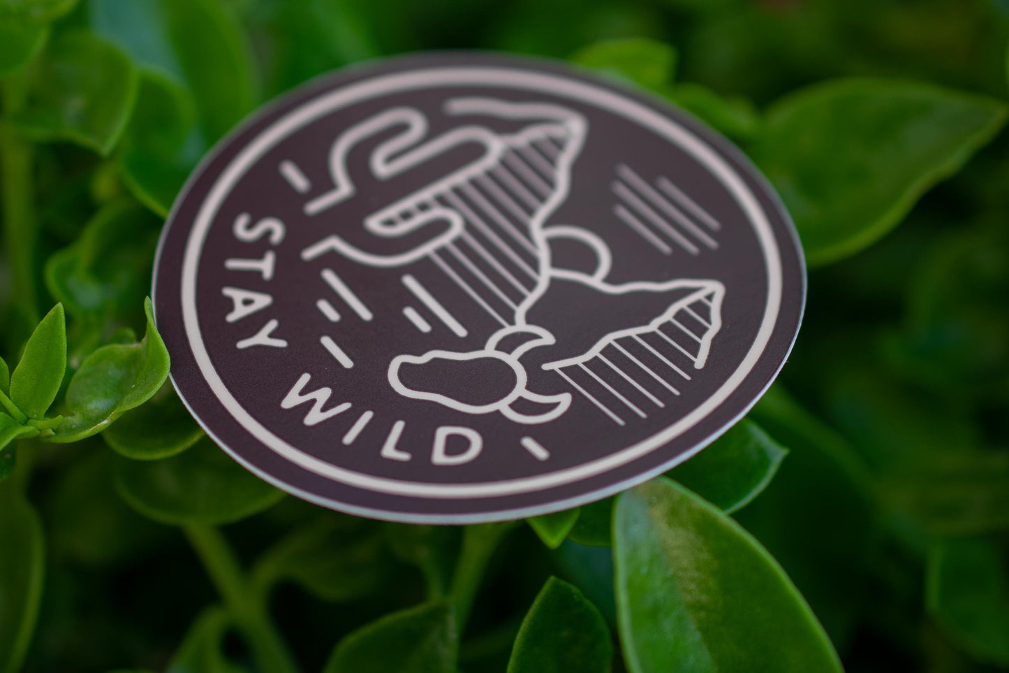 a close up of a black and white frisbee