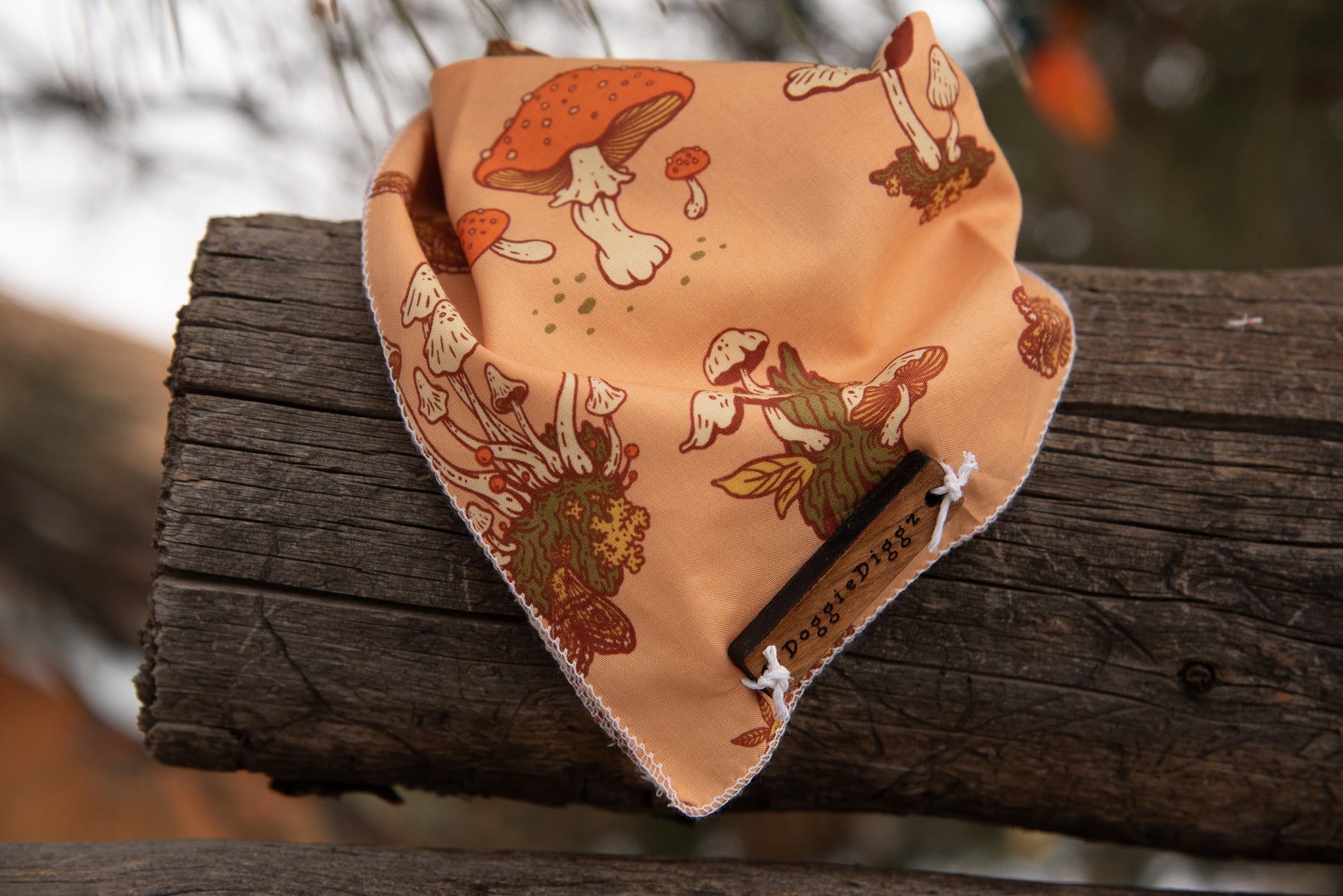 a chocolate cake is on a wooden board