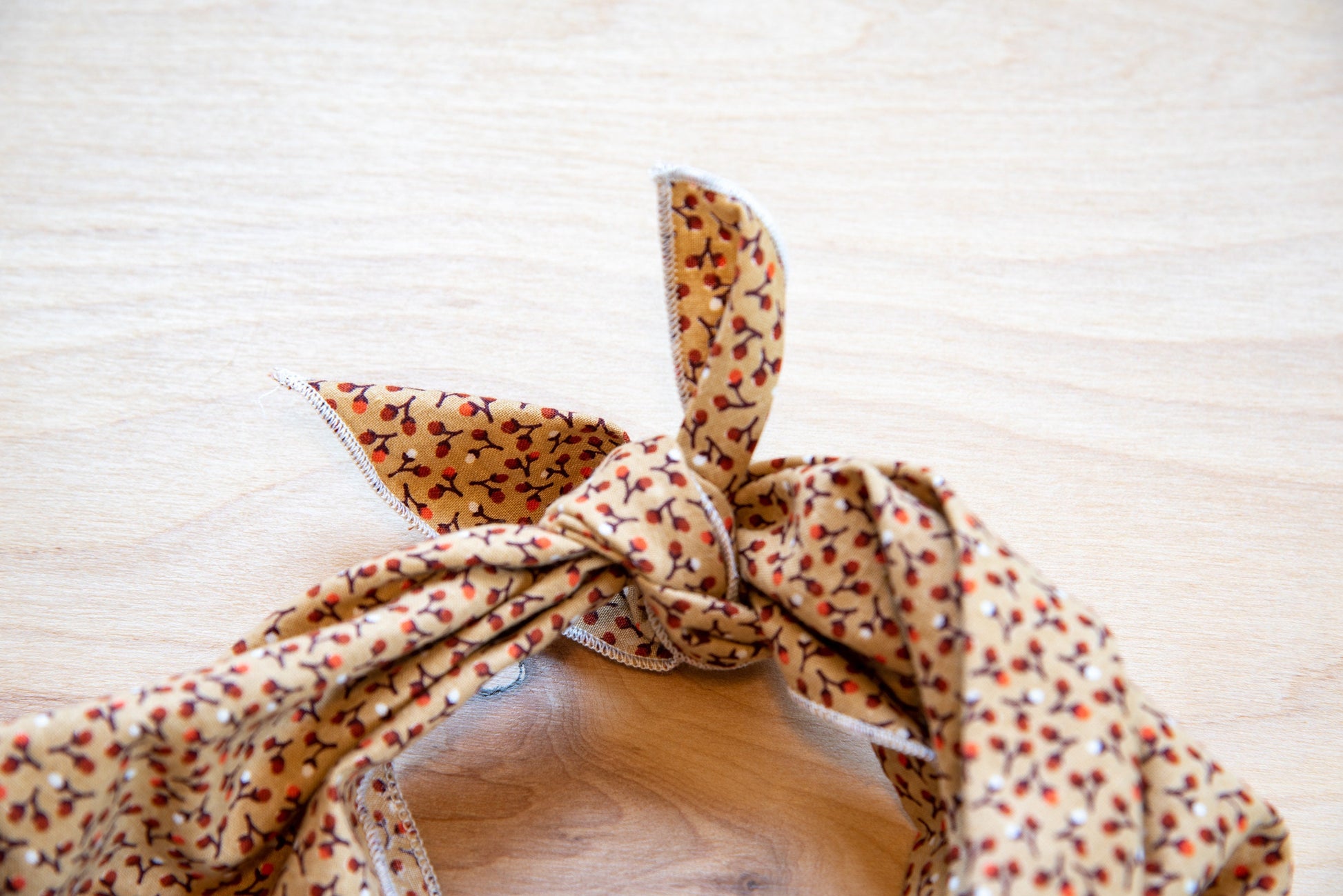 a close up of a hat on top of a horse