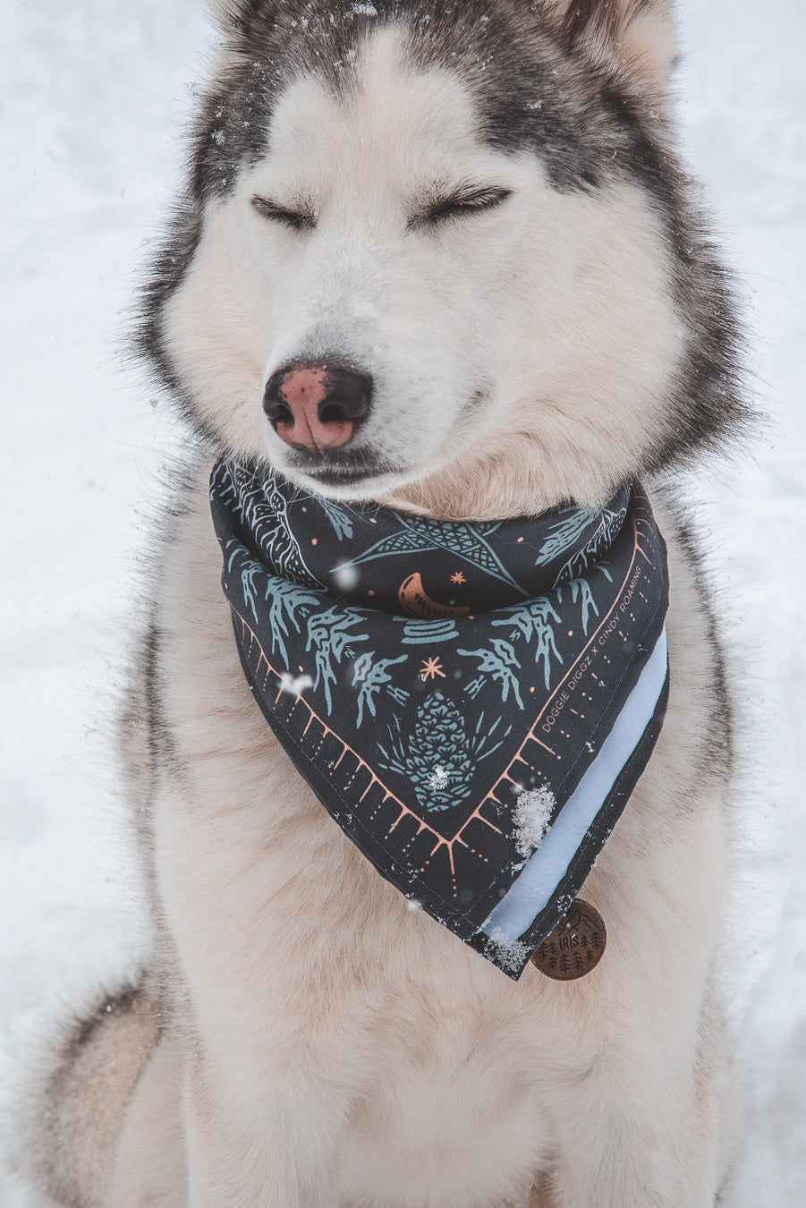 Arctic Howl Bandana