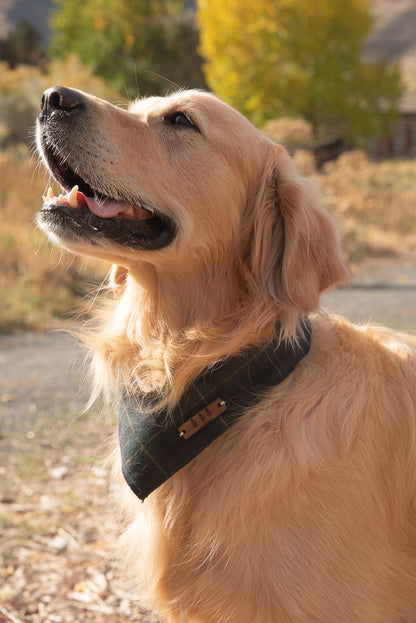 The Alpine Flannel Bandana