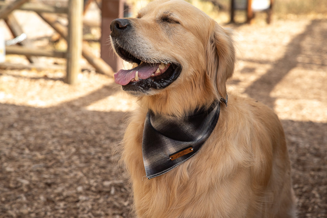 The Smoky Mtn Flannel Bandana