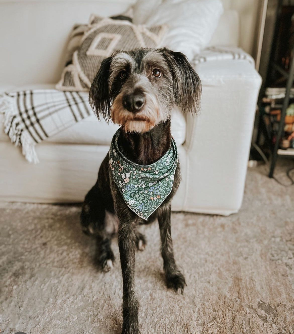 Blue Floral Dog Bandana