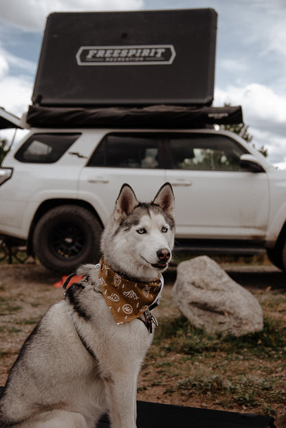 DoggieDiggz Bandana in Green