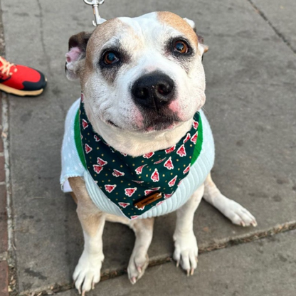 Festive Pines Bandana