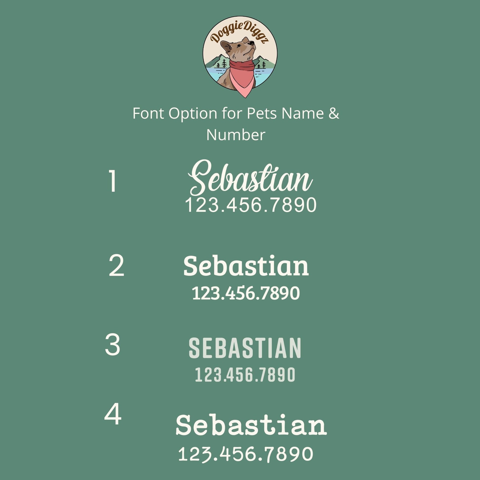 Font Options for the back of the pet id tag