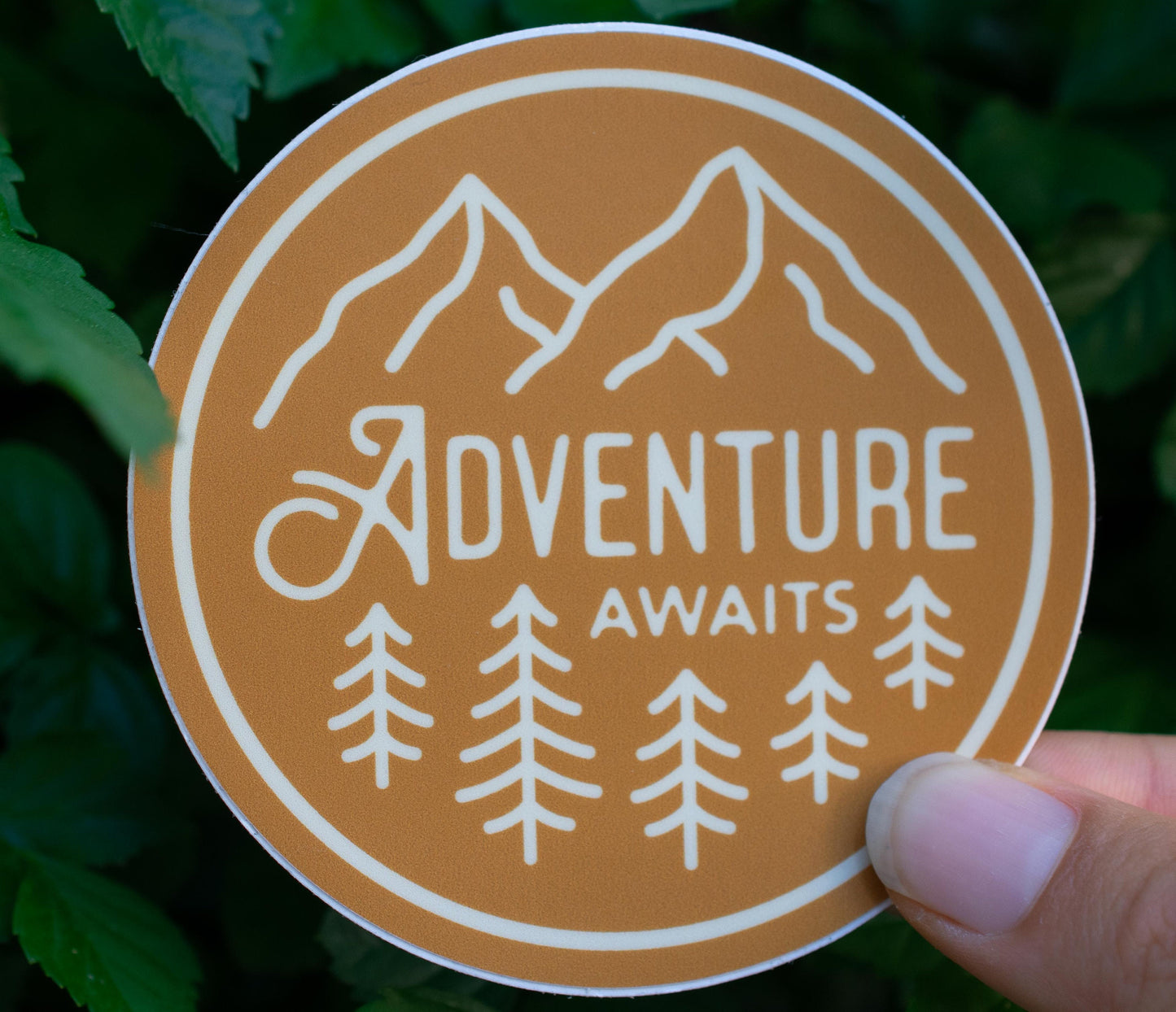 Orange Adventure Awaits Sticker