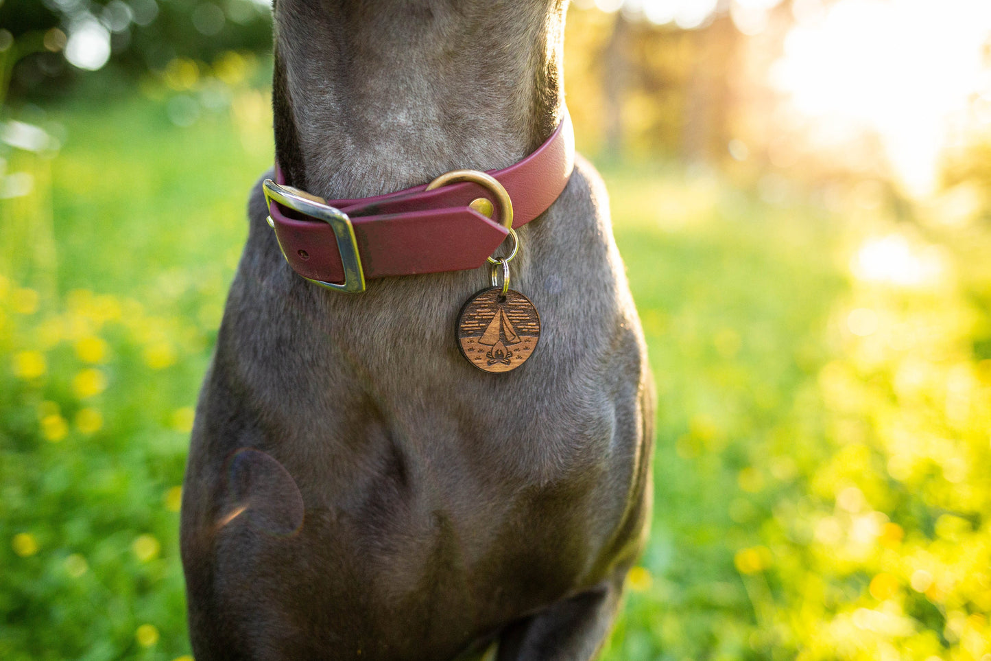 Let's Go Camp Pet ID Tag