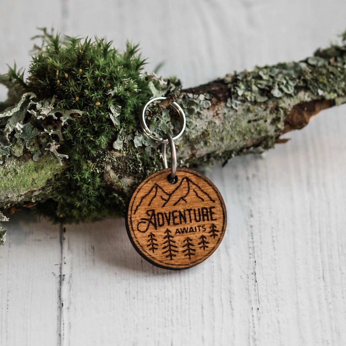 Adventure Awaits Pet Tag