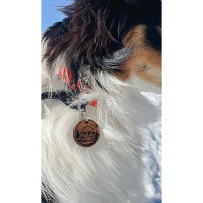 a close up of a dog wearing a tie 